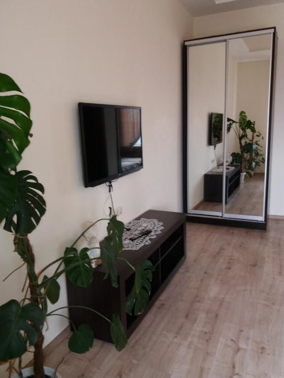 Апартаменты Apartament na Panteylemonovskaya Одесса